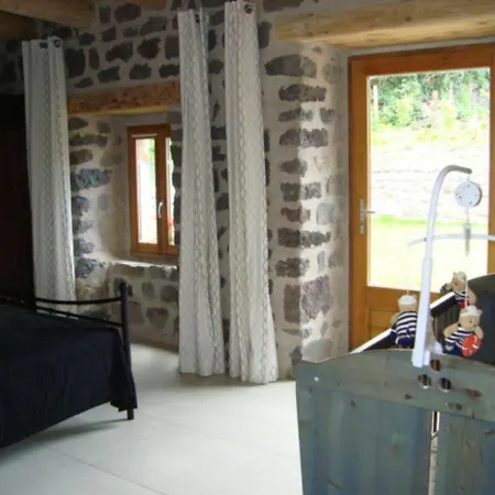 Maison De Caractere Avec Grand Terrain, Proche D'arlempdes, Labels Ecogite Et Tourisme & Handicap - Fr-1-582-118 *