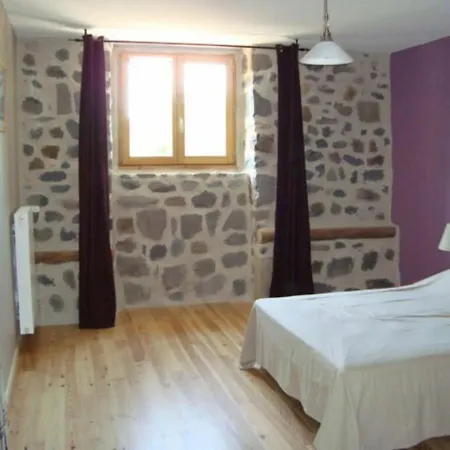 Maison De Caractere Avec Grand Terrain, Proche D'arlempdes, Labels Ecogite Et Tourisme & Handicap - Fr-1-582-118 Dom wakacyjny Arlempdes