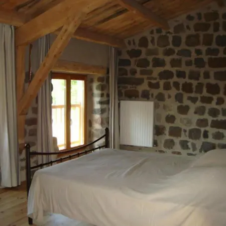 Maison De Caractere Avec Grand Terrain, Proche D'arlempdes, Labels Ecogite Et Tourisme & Handicap - Fr-1-582-118