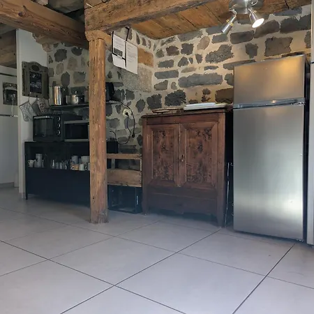 Maison De Caractere Avec Grand Terrain, Proche D'arlempdes, Labels Ecogite Et Tourisme & Handicap - Fr-1-582-118