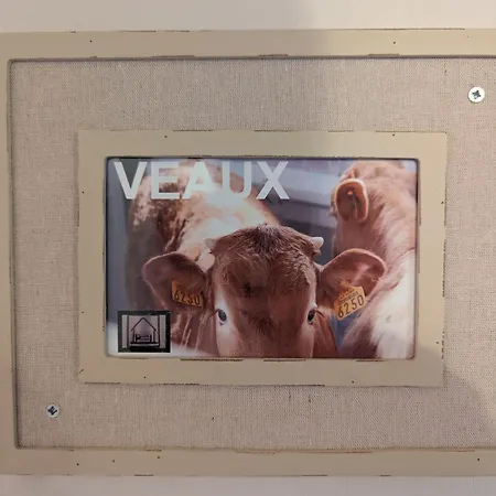 Maison De Caractere Avec Grand Terrain, Proche D'arlempdes, Labels Ecogite Et Tourisme & Handicap - Fr-1-582-118 Dom wakacyjny