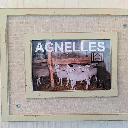 Maison De Caractere Avec Grand Terrain, Proche D'arlempdes, Labels Ecogite Et Tourisme & Handicap - Fr-1-582-118 *