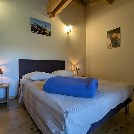 Maison De Caractere Avec Grand Terrain, Proche D'arlempdes, Labels Ecogite Et Tourisme & Handicap - Fr-1-582-118 Casa de Férias