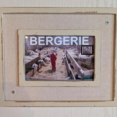 Maison De Caractere Avec Grand Terrain, Proche D'arlempdes, Labels Ecogite Et Tourisme & Handicap - Fr-1-582-118 Dom wakacyjny