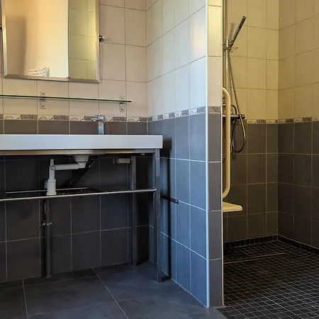 Maison De Caractere Avec Grand Terrain, Proche D'arlempdes, Labels Ecogite Et Tourisme & Handicap - Fr-1-582-118 * Arlempdes