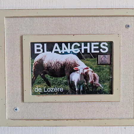 Maison De Caractere Avec Grand Terrain, Proche D'arlempdes, Labels Ecogite Et Tourisme & Handicap - Fr-1-582-118 Arlempdes