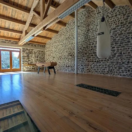 Maison De Caractere Avec Grand Terrain, Proche D'arlempdes, Labels Ecogite Et Tourisme & Handicap - Fr-1-582-118 Dom wakacyjny Arlempdes