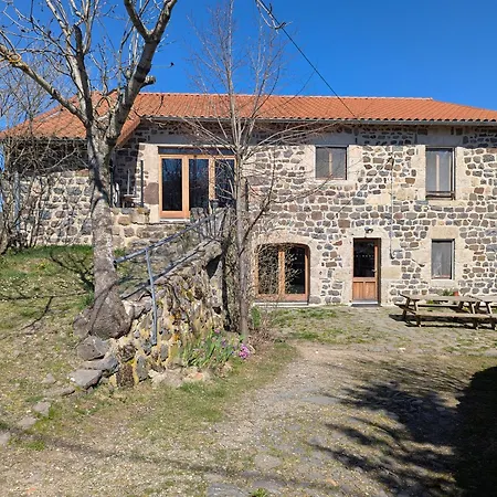 Maison De Caractere Avec Grand Terrain, Proche D'arlempdes, Labels Ecogite Et Tourisme & Handicap - Fr-1-582-118 *