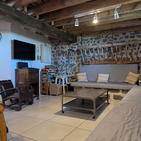 Maison De Caractere Avec Grand Terrain, Proche D'arlempdes, Labels Ecogite Et Tourisme & Handicap - Fr-1-582-118 *