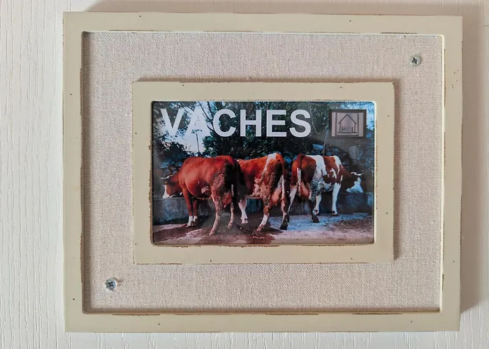 Maison De Caractere Avec Grand Terrain, Proche D'arlempdes, Labels Ecogite Et Tourisme & Handicap - Fr-1-582-118 * Arlempdes