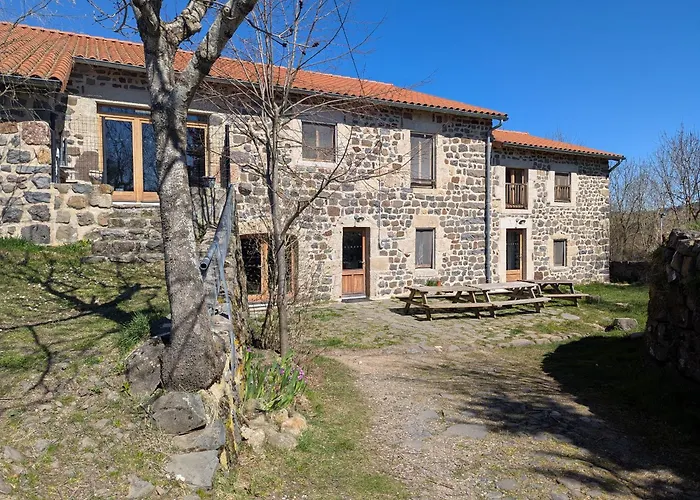 Maison De Caractere Avec Grand Terrain, Proche D'arlempdes, Labels Ecogite Et Tourisme & Handicap - Fr-1-582-118 Дом отдыха *