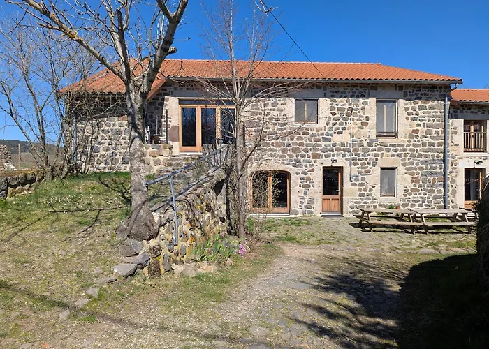Maison De Caractere Avec Grand Terrain, Proche D'arlempdes, Labels Ecogite Et Tourisme & Handicap - Fr-1-582-118 *
